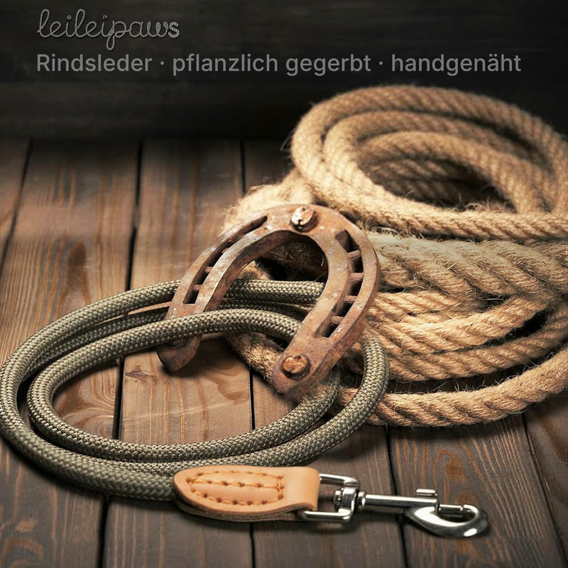 Dog Lead 2 m & 3 m - Robust Round Rope Rope for Small, Medium & Large Dogs, Reflective & Lightweight - Nylon Lead with Safety Carabiner & Leather Handles (2 m x 0.8 cm, Light Blue) lightblue 2m x 0.8cm