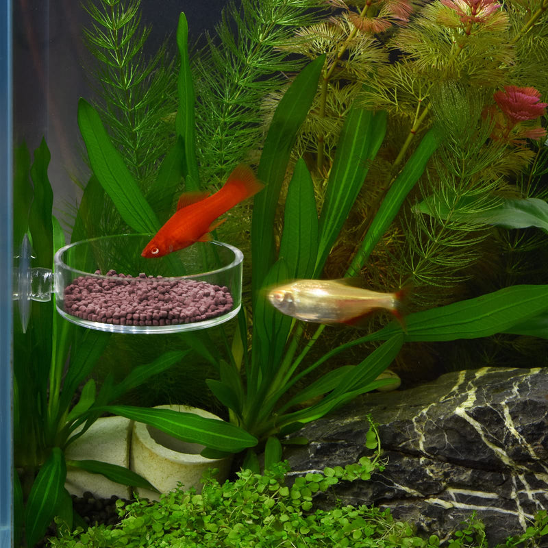 Dannisly Aquarium Glass Feeder Dish Shrimp Feeding Dish Clear-Round - PawsPlanet Australia