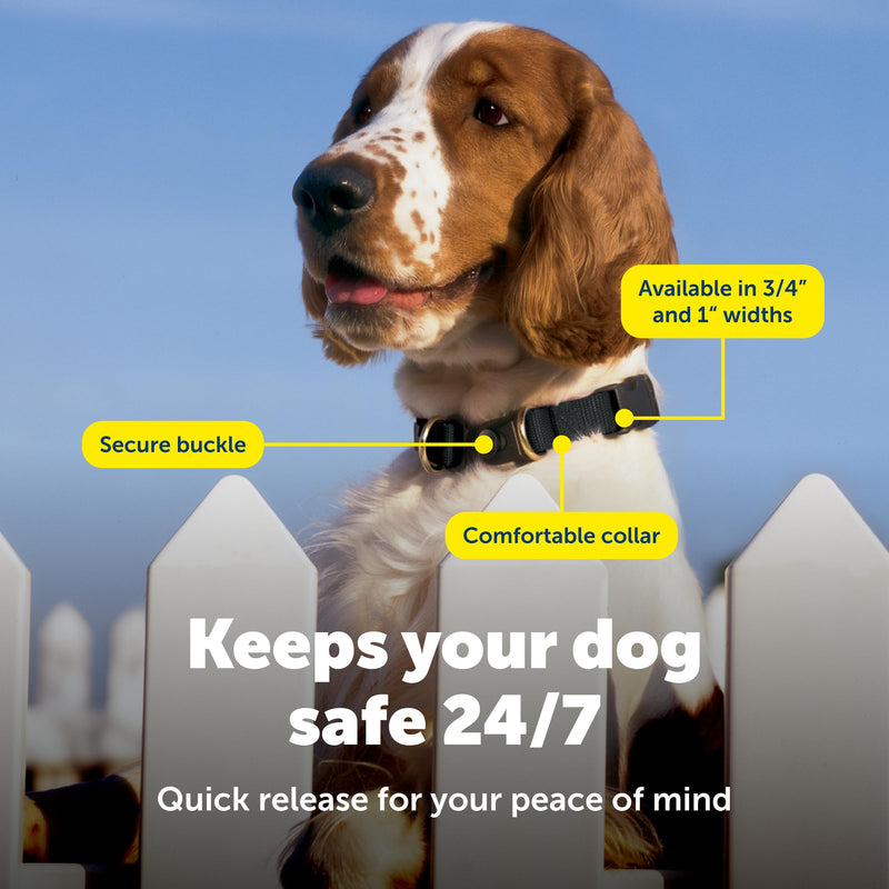 PetSafe KeepSafe Collar for Dogs - Protects Against Collar Accidents - Long Lasting - Durable - Adjustable - Breakaway - Outdoor-Safe - Medium - 1 in. Wide - Black Medium (1 inch) - PawsPlanet Australia