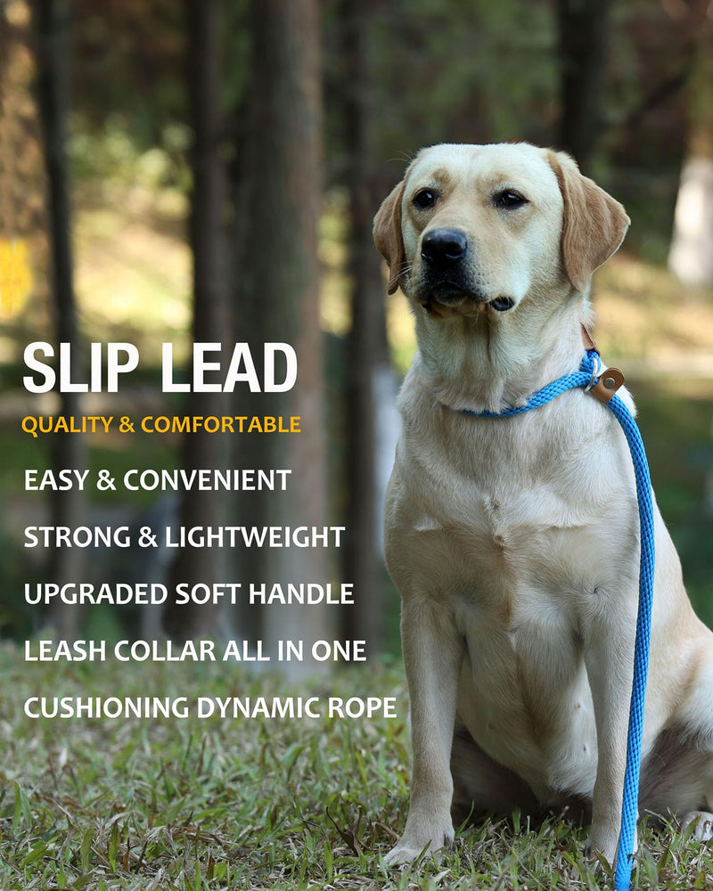 lynxking 8 FT Dog Leash Slip Lead 2 Pack Strong Heavy Duty Braided Dog Training Leash No Pull Training Lead Leashes for Medium Large and Small Dogs Blue 2PCS Slip Lead-1/2in x 8ft Large - PawsPlanet Australia