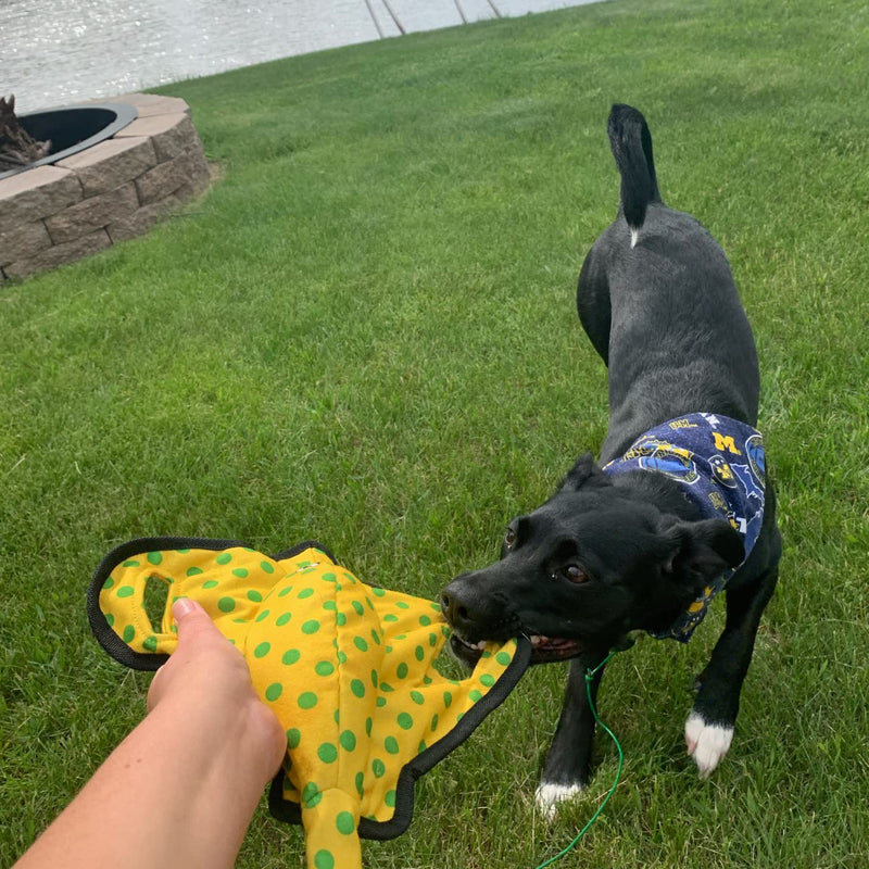 SmartPetLove Snuggle Puppy Tender-Tuffs - Yellow Stingray Tug of War Plush Dog Toy - Great for Play and Interaction with Puncture Resistant Squeaker - PawsPlanet Australia