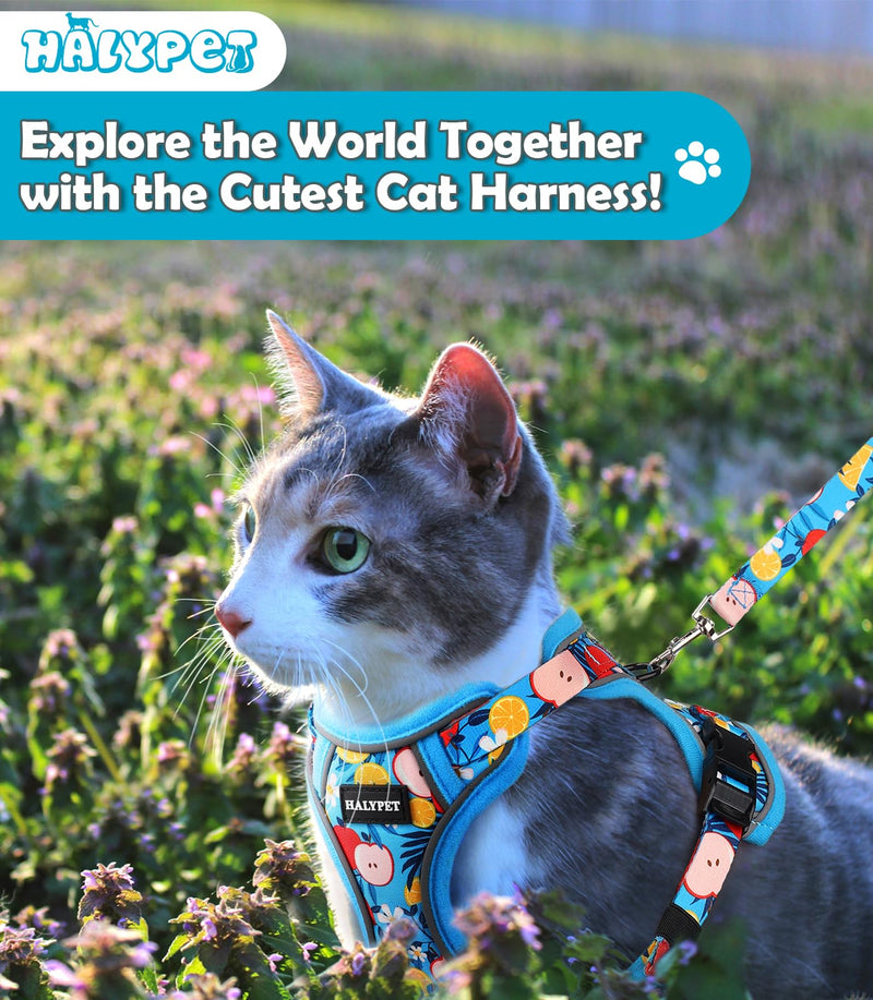 Halypet Cat Harness and Leash Set[MAX Safety 4th-Gen] Cute Escape Proof Vest Harness for Girl&Boy Cat Walking, Comfortable Adjustable Leash and Reflective Strips for Outdoor Kitten, M Azure Floral H603 Pro Azure Floral Medium (13-18lb) - PawsPlanet Australia