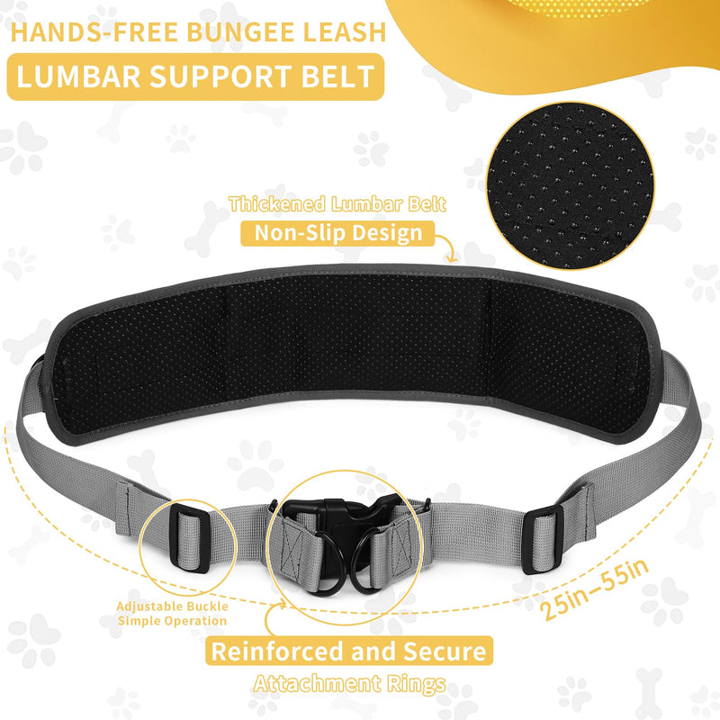 Tails & Tales Hands Free Dog Leash with Waist Pouch, Lumbar Support Upgraded, Bungee Reflective Leash, Adjustable Belt 25-55", Walking Running Hiking Training for Dogs Up to 125lbs (Black, Two Dogs) Black - PawsPlanet Australia