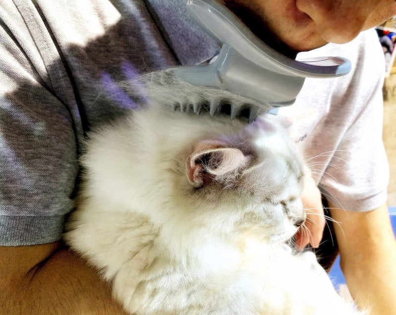Cat Brush Shedding Grooming, Soft Massage Cat Tongue Brush, Licking Your Cat Like a Mama Cat to Comfort, Surprise Pet Gifts silver gray - PawsPlanet Australia