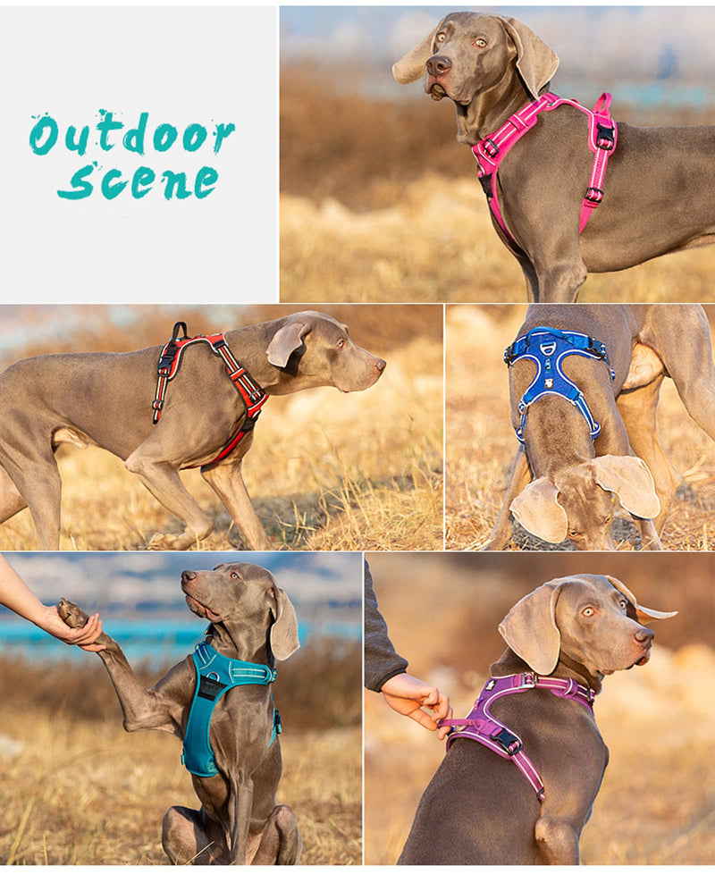 TRUE LOVE Dog Harness No Pull Nylon Reflective Pet Harness Adjustable Comfortable Control Step-in Brilliant Colors Truelove TLH56512 Black M - PawsPlanet Australia