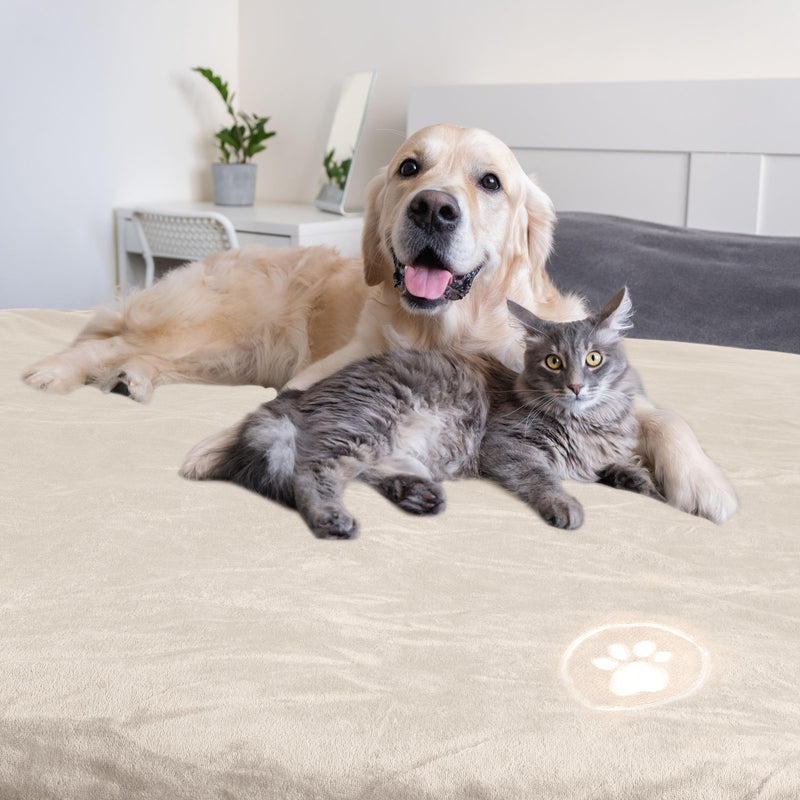 PETMAKER Dog Blanket - 60x70in Reversible Sherpa Blanket - Throw Blankets for Bed, Couch, Crate, or Car - Machine Washable Puppy Essentials (Cream) - PawsPlanet Australia