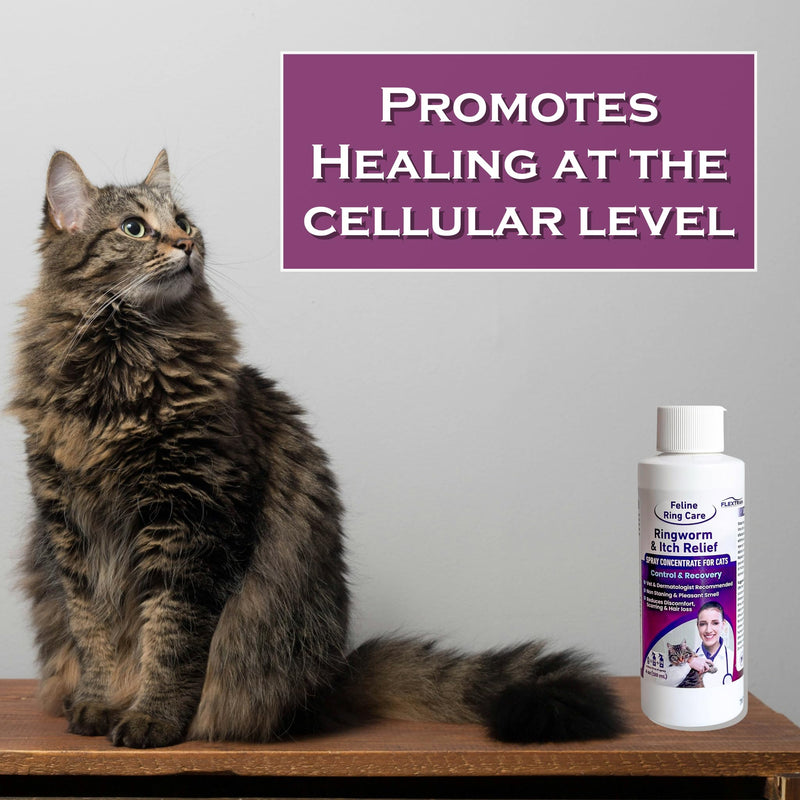 FlexTran Feline Ring Care | Control & Help with Cat Ringworm, Mange, Dermatitis, Dog Paw Yeast. Also works on Dogs, Hamsters, Guinea Pigs, Rabbits, etc. Makes 32 oz of spray for Cats and Itch Relief