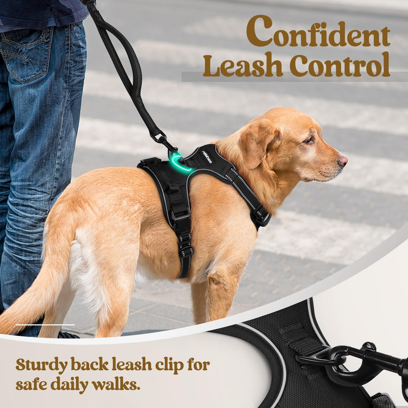 rabbitgoo Dog Harness No Pull with 2 Leash Clips, Adjustable Soft Padded, Reflective Oxford No Choke Pet Vest with Easy Control Handle for Small Dogs, Black, S