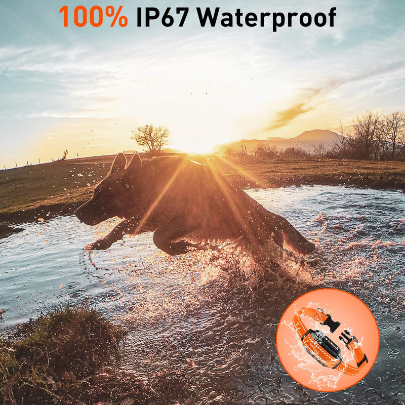 Vibrating Dog Collar No Shock Dog Training Collar, Dog Vibration Collar with Controller 3300ft Range, Vibrating Collar for Dogs, 9 Style Tones and Vibration Collar - PawsPlanet Australia