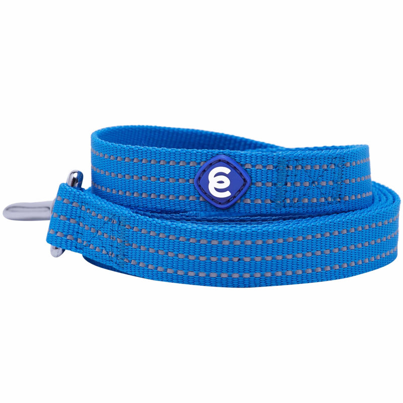 Blueberry Pet Essentials Reflective Better Basics Matching Dog Collar and Leash Set in French Blue, Adjustable Collar with 5 ft Leash for Small Dogs French Blue - Collar + Leash - PawsPlanet Australia