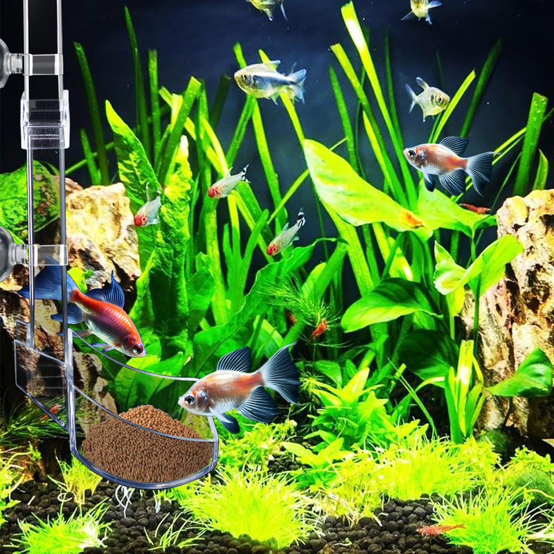 Shrimp Feeding Tube and Dish Set Aquarium Fish Feeder Tube Clear Shrimp Feeder Fish Tank Feeding Supplies with Feeding Ring Cleaning Brush for Fish Tank Aquarium - Prevent Food Scattering - PawsPlanet Australia