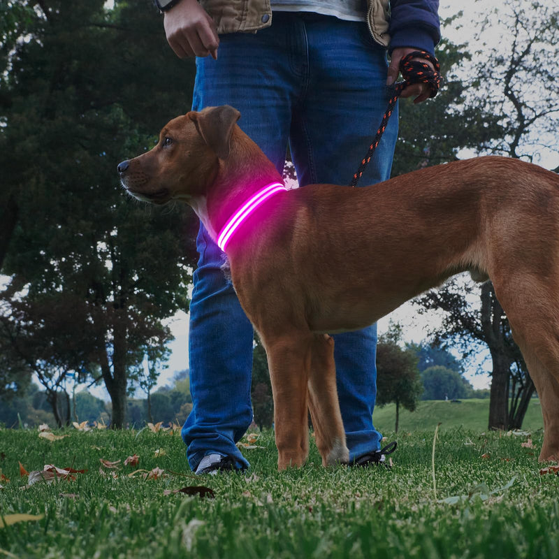 Illumifun LED Dog Collar Rechargeable Light Up Dog Collar Glow in The Dark, Flashing Lighted Glow Collars for Dogs Night Walking (Pink, Large) Pink - PawsPlanet Australia