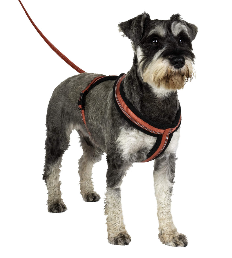 Halti Comfy Harness - Lightweight, Fleece-Lined, Reflective and Adjustable Dog Harness, Front & Back Ring for a Dog Lead, Great for Puppy Walks (Size X-Large) - PawsPlanet Australia