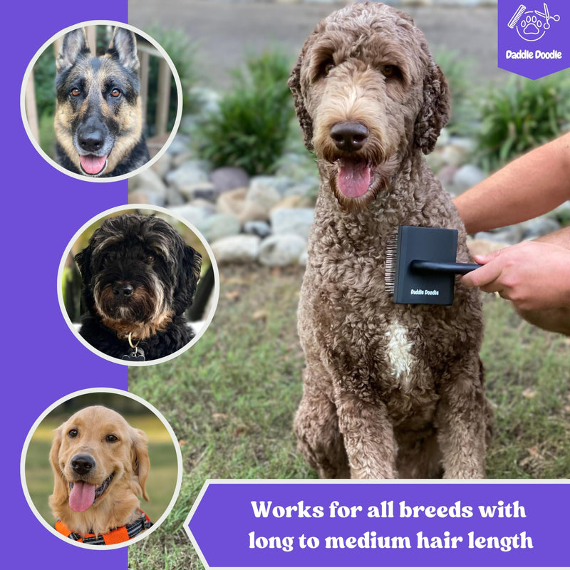 Dog Slicker Brush - Dog Grooming Brush Especially Designed for All Poodles and Doodle Mixes – Fluff, Style, Detangle, and Demat – Ergonomic Handle Design – Soft and Angled Brush Pins - PawsPlanet Australia