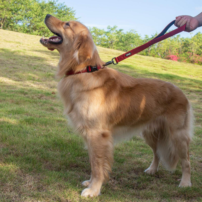 Hyhug Pets Premium Upgraded Durable Nylon 18 Inch Short Leash with Comfort Padded Neoprene Lined Handle for Medium Large Giant Dogs Daily Walking and Professional Training Lead. Red - PawsPlanet Australia