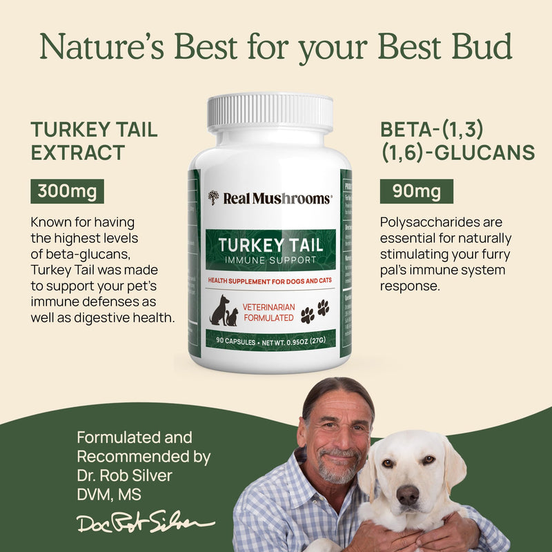 Turkey Tail Pet Support - Dog Multivitamins and Supplements for Immune Support, Gut Health & Wellness - Grain-Free, Gluten-Free, Vet-Approved Dog Supplement (90ct) Turkey Tail Mushrooms Pet - PawsPlanet Australia