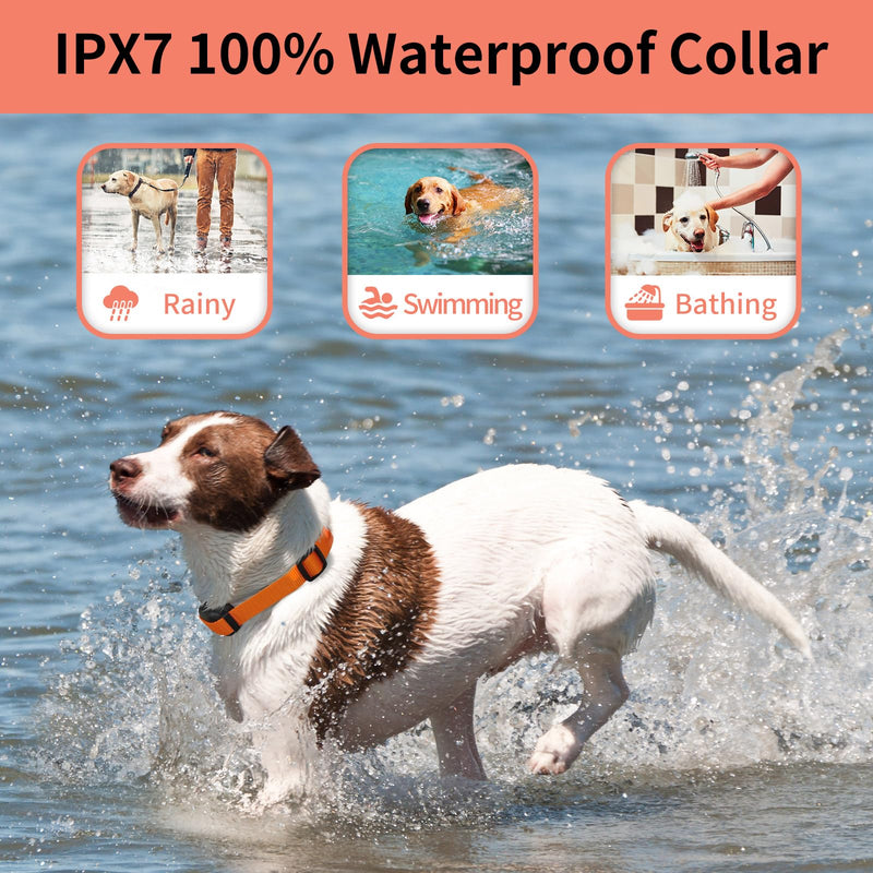 PaiPaitek Vibrating Dog Collar No Shock, 3300ft Waterproof Vibration Collar for 2 Dogs, No Shock Dog Training Collar with Remote for 5-120 lbs All Breeds, Safe and Humane PD523V-2 Orange - PawsPlanet Australia