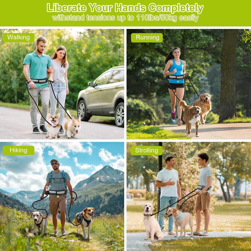 Hands Free Dog Leash for 2 Dogs - 2 Convenient Pouches on This Nifty Hands Free Leash - Padded Handles and 2 Tough Bungees - Perfect Waist Leash for Dog Walking, Running or Adventuring Waist: 28in - 49in Black - PawsPlanet Australia