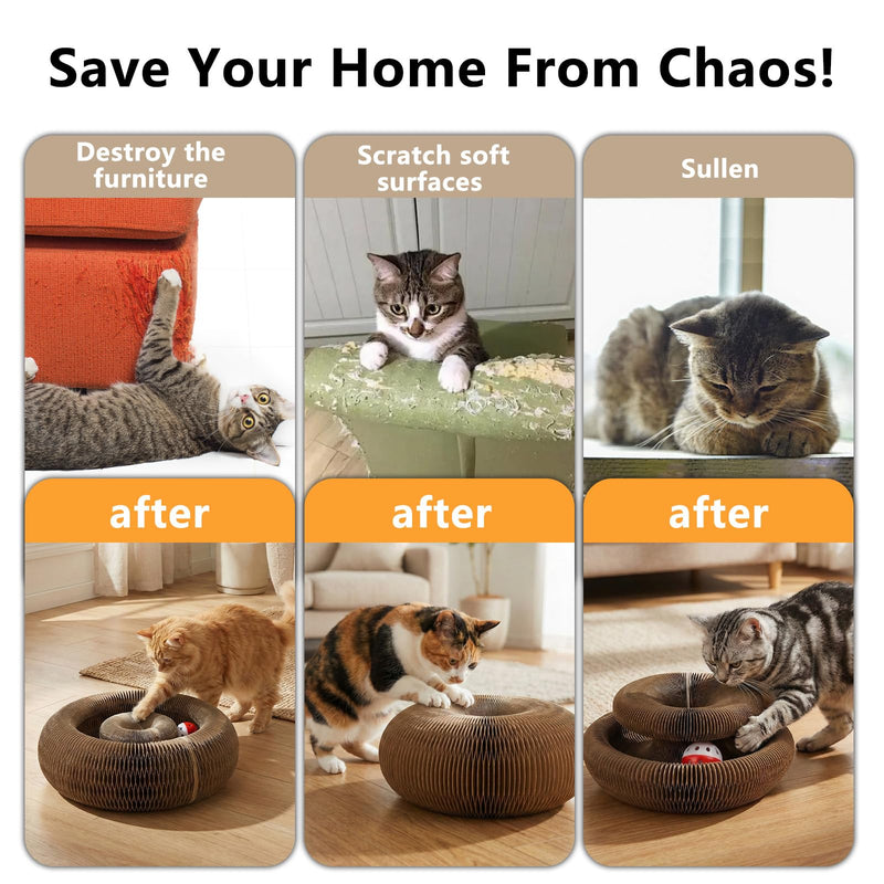 2-Pack Kitty Curls Cat Scratcher, Magic Organ Cat Toy with Catnip Ball for Indoor Cats – Foldable and Durable Honeycomb Design, Interactive Twisty Paws Cat Toy for Endless Play, Chase & Scratch 2 pcs - PawsPlanet Australia