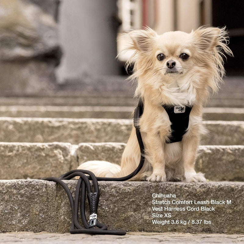 Curli Stretch Comfort Leash Black M - PawsPlanet Australia
