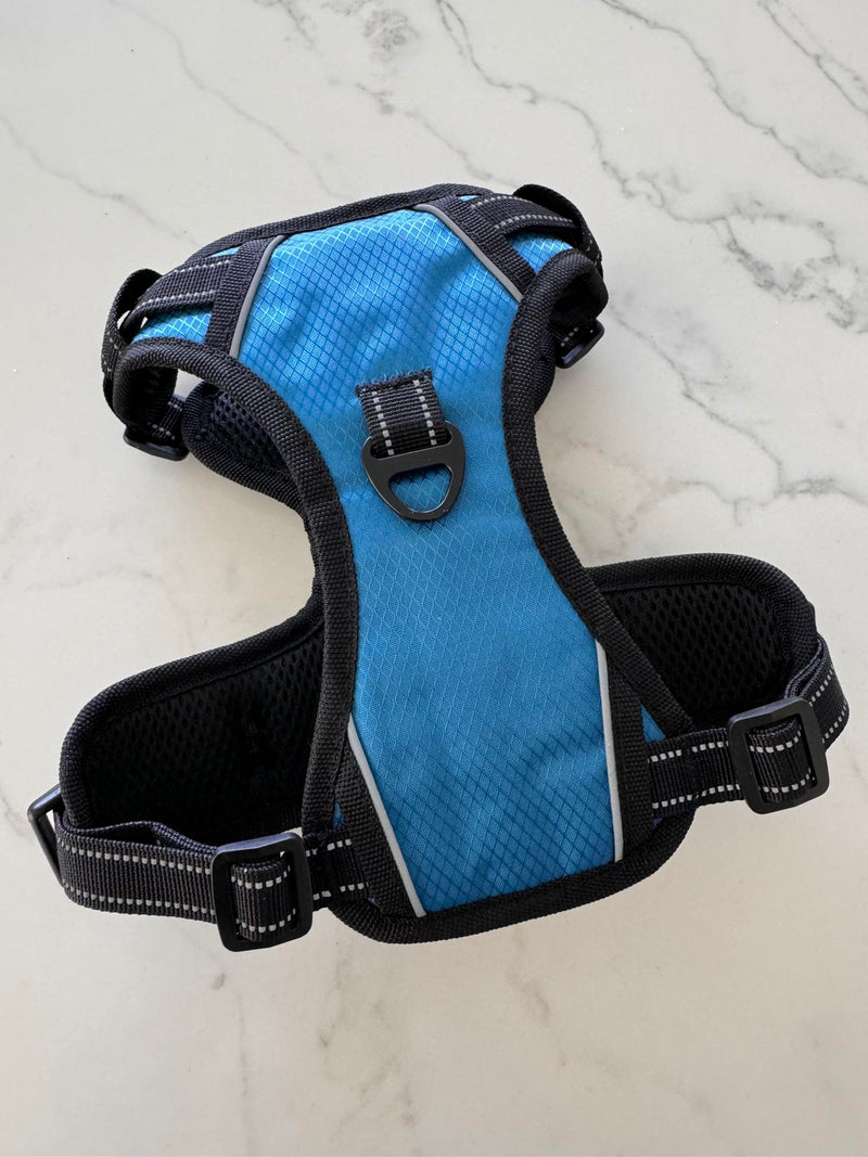 ROOSK Dog Harness | No-Pull, Reflective, 4-Way Adjustable w/Poop Bag Holder | Ultimate Comfort, Soft, Padded Waterproof Oxford w/Airmesh | 2 Leash Clips (Teal Blue, Medium) M Teal Blue - PawsPlanet Australia