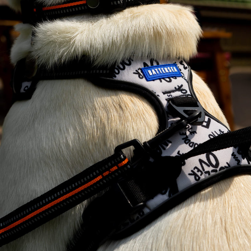 Battersea Dog Harness XL - PawsPlanet Australia