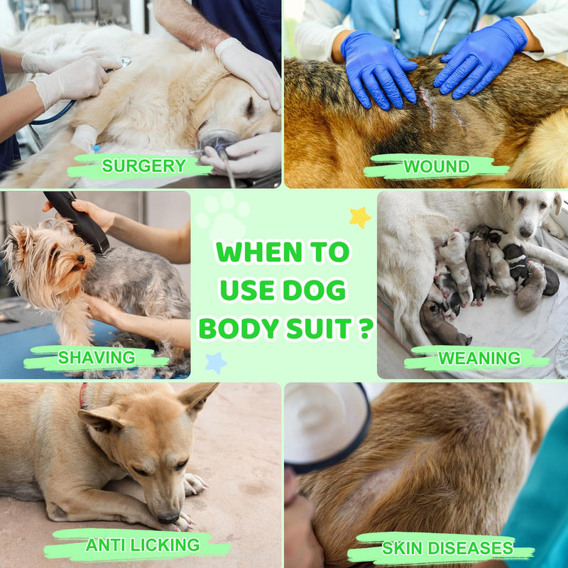 AURUZA Dog Recovery Suit After Surgery, Soft Breathable Dog Onesie for Surgery Female Male, Anti Licking Dog Surgical Suit (Green Stripey,XL) - PawsPlanet Australia