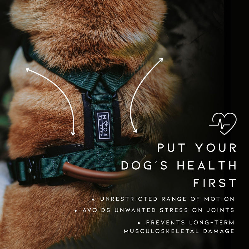 MADE TO ROAM Premium Explorer Harness - Y-Shaped Dog Harness with Adjustable Durable Nylon, Soft Padding, Metal Buckles and Leather Handle for Small, Medium, Large Dogs (Maine Marina, Size 5) Maine Marina - PawsPlanet Australia