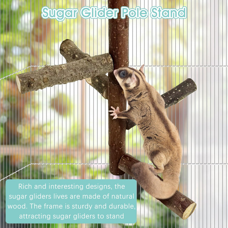 BNOSDM Sugar Glider Toy Natural Fruitwood Perch Stand Squirrel Hanging Wooden Climbing Pole Hamster Paw Grinding Perch Small Animal Cage Accessories for Chinchillas Rats Gerbil Natural Applewood - PawsPlanet Australia