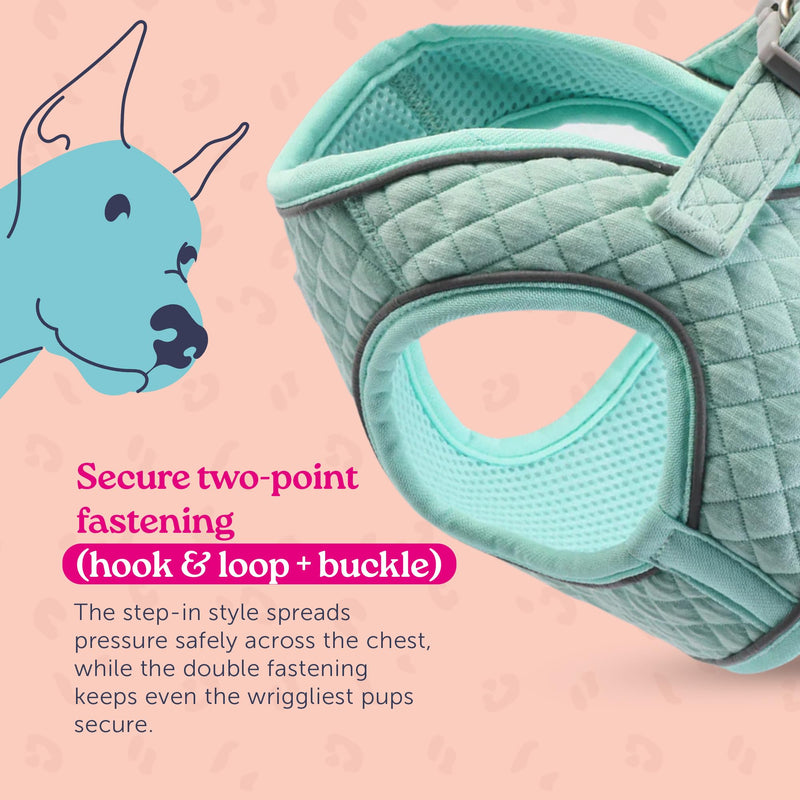 Doodlebone - Dinky Dog Snappy Harness - Step In Vest Style Harness for Small Dogs and Puppies, Lightweight Breathable Fit with Reflective Trim, Secure Fastening - Size 1-2 - Blue Cord - PawsPlanet Australia