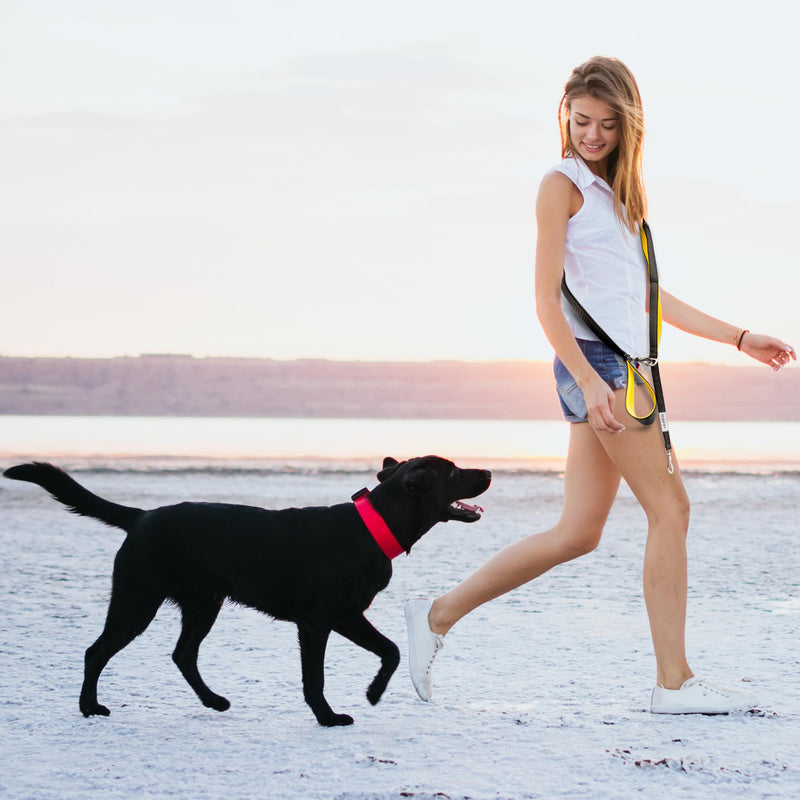 Anti Pull Dog Leash - Heavy Duty, 6ft, Sturdy Bungee, 4 Padded Handles, Strong Carabiner Clips and Rings, Highly Reflective, Poop Bag Holder + Treat Pouch, Large Breeds by Leashrr 2.0 (Royal Blue) Royal Blue - PawsPlanet Australia