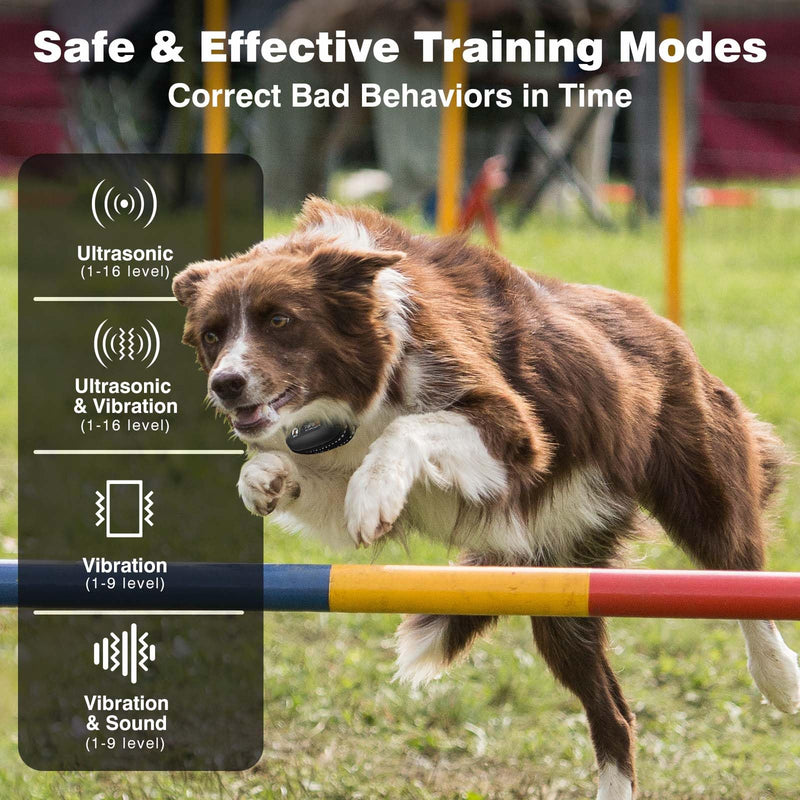 PaiPaitek No Shock Dog Training Collar with Remote 3300ft Range, Humane Vibrating Dog Collar, 3 Modes Ultrasonic, Beep, Vibration for Small Medium Large Dogs - Security Lock & No Prongs Black - PawsPlanet Australia
