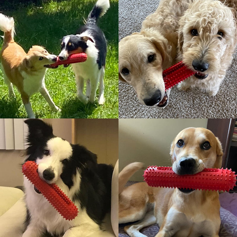 PETIZER Dog Squeaky Toys for Aggressive Chewers | Tough Toothbrush Dog Chew Toy | Nearly Indestructible Rubber Toys for Pet Training, Teeth Cleaning, Playing and Chewing for Medium & Large Breeds Red - PawsPlanet Australia
