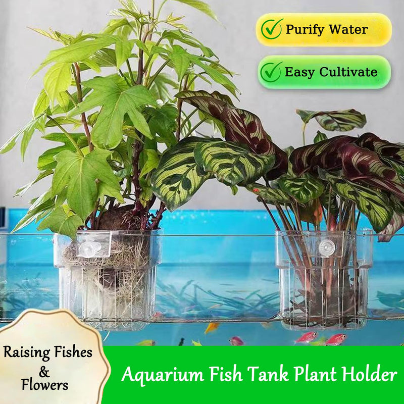 Aquarium Plant Holder, Aquatic Fish Tank Plant Holder with Hooks, Clear Aquatic Fishtank Planter Hanging Holder, Fish Tank Decorations Aquarium Decor (2 Pcs) 2 Pcs - PawsPlanet Australia