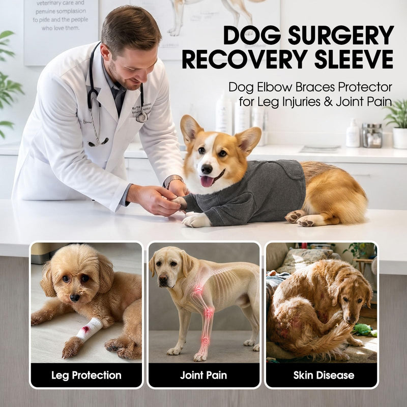 CITÉTOILE Recovery Suit for Dogs Front Body, Post-operative Protective Suit Front Paws, Breathable Medical Clothing for Licking, Elbow and Knee Protection for Wounds and Dressings, Grey, M gray