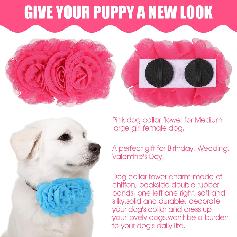 6Pcs Large Flowers Dog Collar, Dog Collar Flowers Charms Attachment Neck Bows Sliders Flower Bow for Female Small Medium Big Puppy Cat Rabbit Pet Grooming Accessories Wedding Birthday Party - PawsPlanet Australia