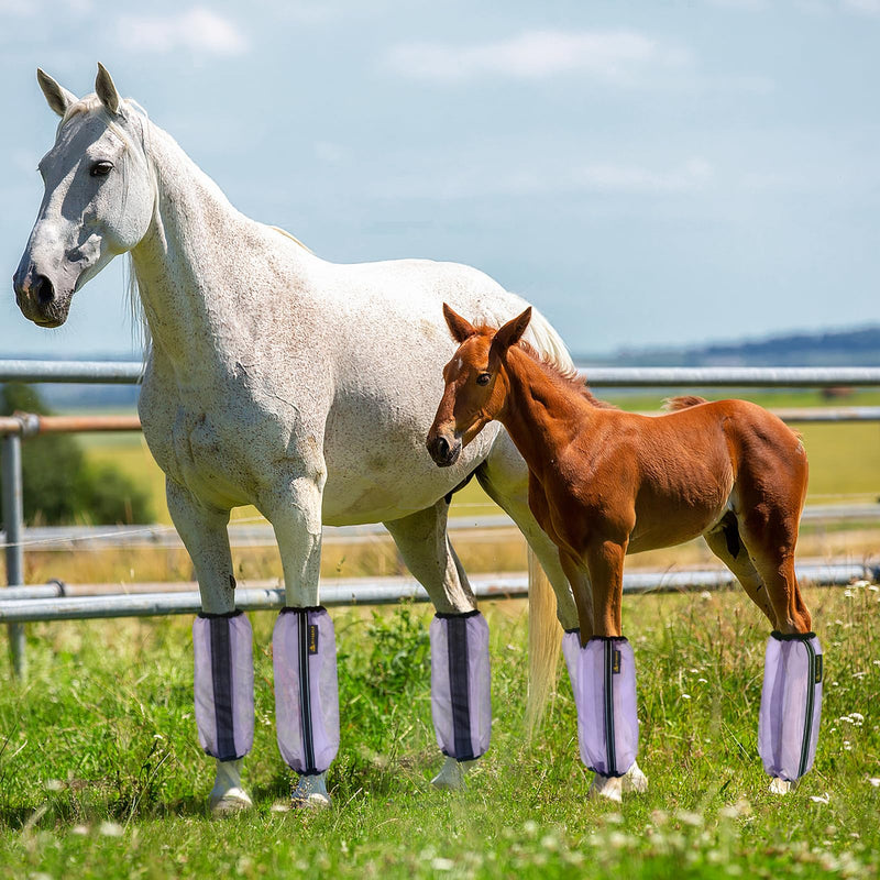 Fly Boots for Horses Set of 4,Universal Size Fine Mesh Horse Fly Boots with Nylon Stays,Fly Leggings for Horses with Fleece Trimming and Reflective Webbing Purple