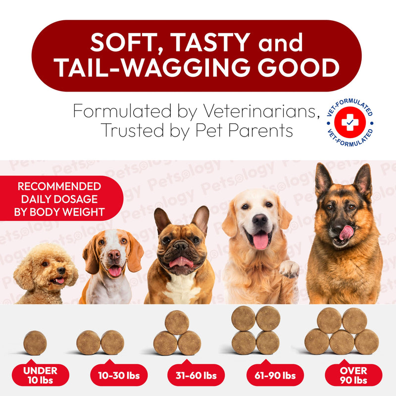 Dog UTI Treatment - 170 Cranberry Chews for Dogs - Urinary Tract Infection, Bladder & Kidney Health Multivitamin - Cranberry Supplement for Dogs with D-Mannose - Dog Vitamins and Supplements Chicken Cranberry Urinary Support - 170 Chews - PawsPlanet Australia