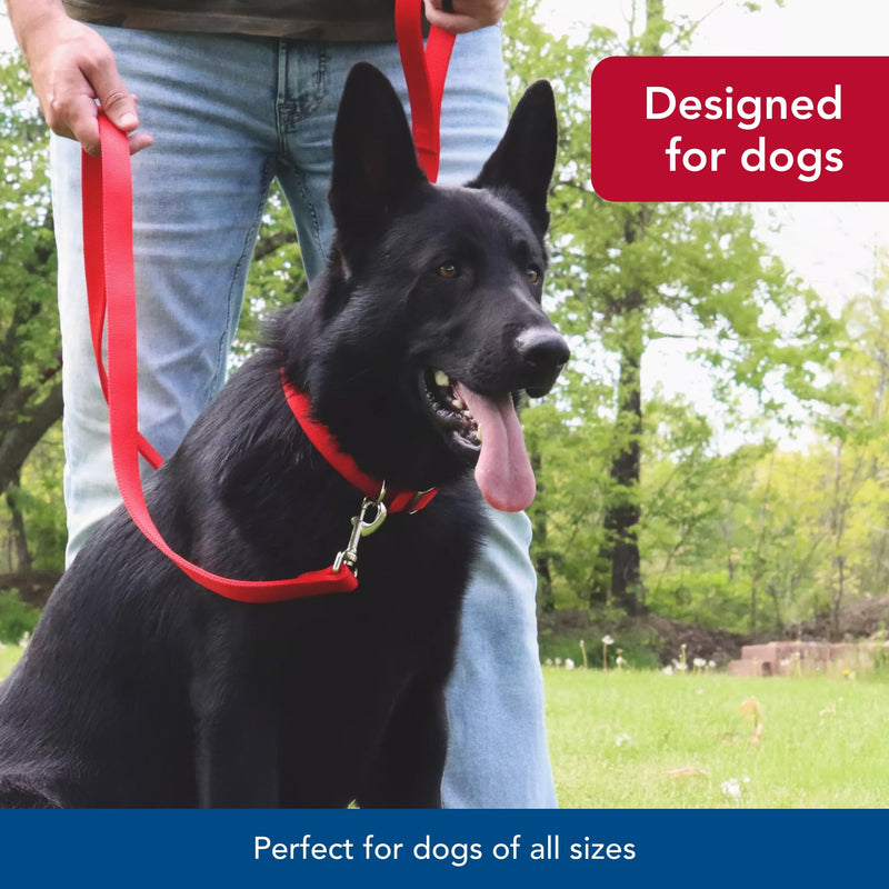 Coastal Pet Double-Ply Dog Leash - Bolt Snap Attachment to Collars and Harnesses - Nylon Dog Walking Leash for Small, Medium and Large Dogs - Teal - 1" x 6' 1" x 6' (Pack of 1) - PawsPlanet Australia