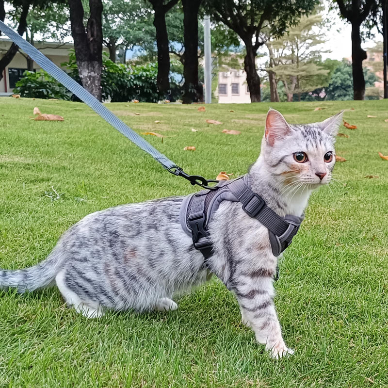 pangdi Cat Harness and Leash Set Escape Proof Tactical Large Kitten Harness Emotional Support Cat Vest, Grey, L 01 Grey - PawsPlanet Australia