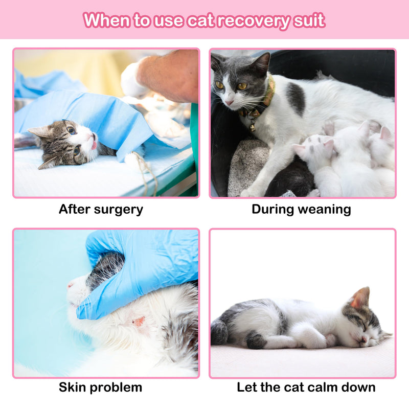 PUMYPOREITY Cat Recovery Suit, Cat Surgery Recovery Suit Female, Cat Spay Recovery Suit, Alternative to Cone of Shame, Cat Surgical Recovery Suit for Skin Diseases and Abdominal Wound, Pink, S Small - PawsPlanet Australia