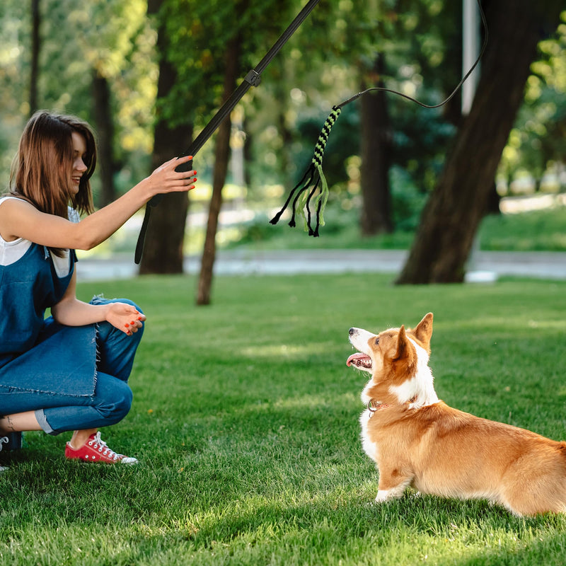 Flirt Pole for Dogs, Interactive Dog Toys Extendable Teaser Wand with Lure Chewing Toy, Chase and Tug of War for Small Medium Large Dogs Training Playing Exercise 2 Switch-40.5 inch - PawsPlanet Australia