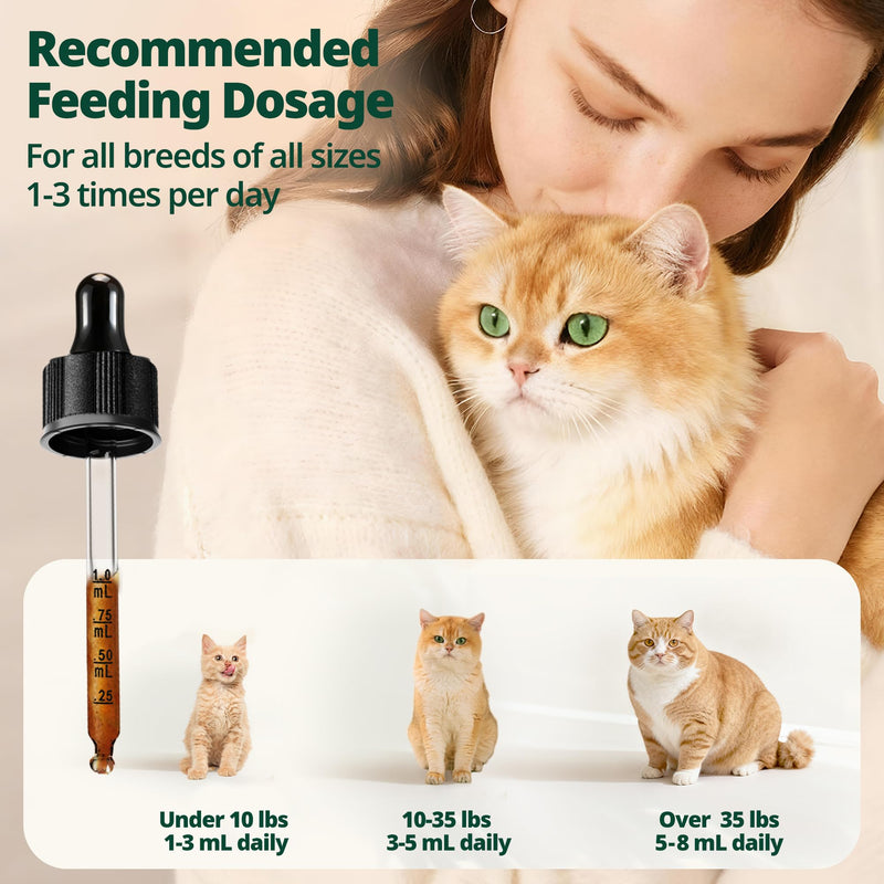 L-Lysine for Cats Liquid Drops, Immune, Respiratory & Eye Support, with Taurine and B Vitamins, Chicken Flavor, Easy to Mix for Kittens & Adult Cats, 60 mL
