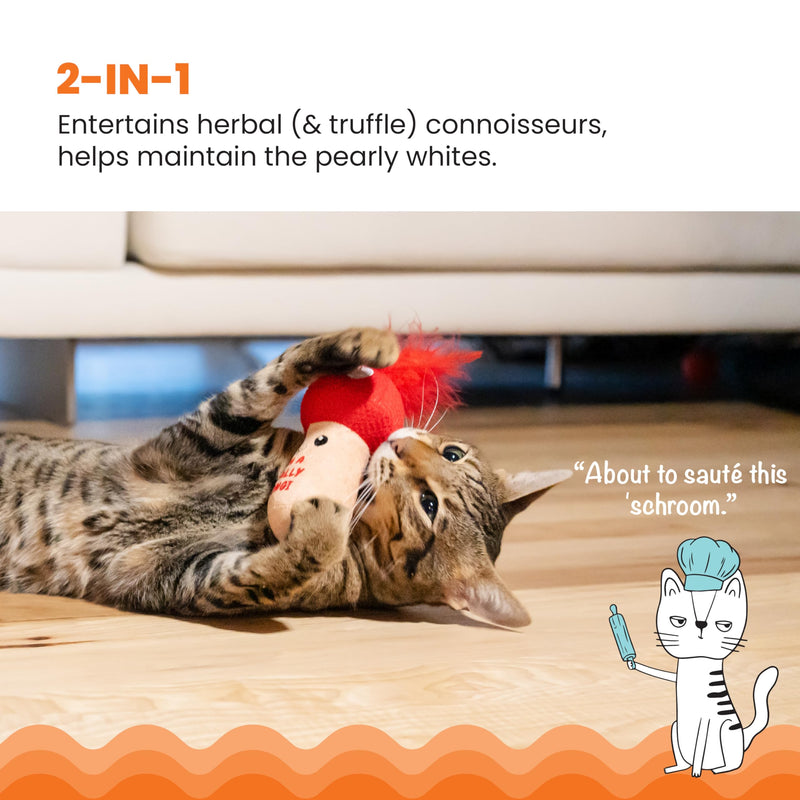 Catstages A Really Fungi Mushroom Kicker Catnip Toy and Dental Toy for Cats Mushroom Themed Funny Catnip Stuffed Kicker Toy, Red - PawsPlanet Australia
