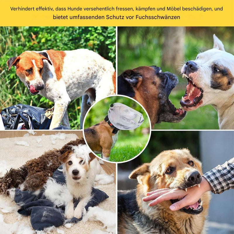 Field protection for dogs | Safety hood for dog tail during hikes | Breathable mesh protective hood for puppies and Chihuahuas on farmland against thorns, stones, and grass during picnics, hiking, and hunting.