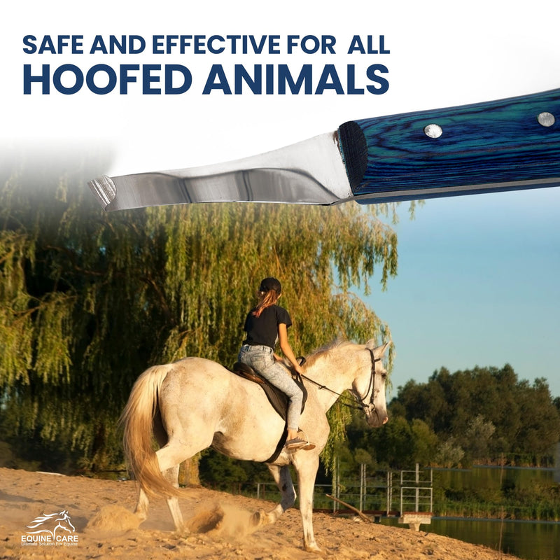 Right-Handed Hoof Knife – Professional Farrier Knife & Hoof Trimmer Tool | Ultra-Sharp J2 Stainless Steel Blade, Ergonomic Handle for Horse Hoof Trimming, Cleaning & Farrier Supplies Right-Handed - PawsPlanet Australia