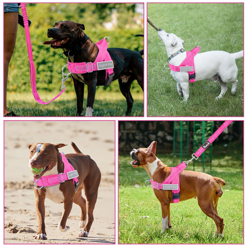SlowTon No Pull Dog Harness - Heavy Duty Dog Harness and Leash Set for Medium Large Dogs, Reflective Tactical Harness with Soft Padded and Front Clip for Easy Walk and Training (Fuchsia XL) Fuchsia X-Large - PawsPlanet Australia