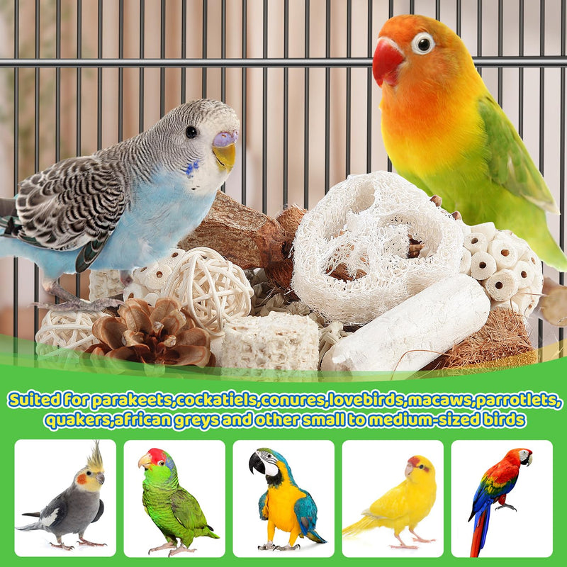 Kyouki Bird Toys Parrot Toys Natural Bird Foraging Box Foot for Parakeets,Cockatiels,Conures,Love Birds,and Other Small to Medium Birds (Medium) - PawsPlanet Australia