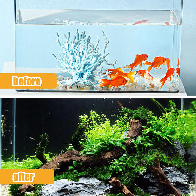 Aquarium Driftwood Natural Trunk Driftwood Assorted Branches 3.9-5.9" Assorted Trunk Terrarium Ornament(5 Pcs) - PawsPlanet Australia