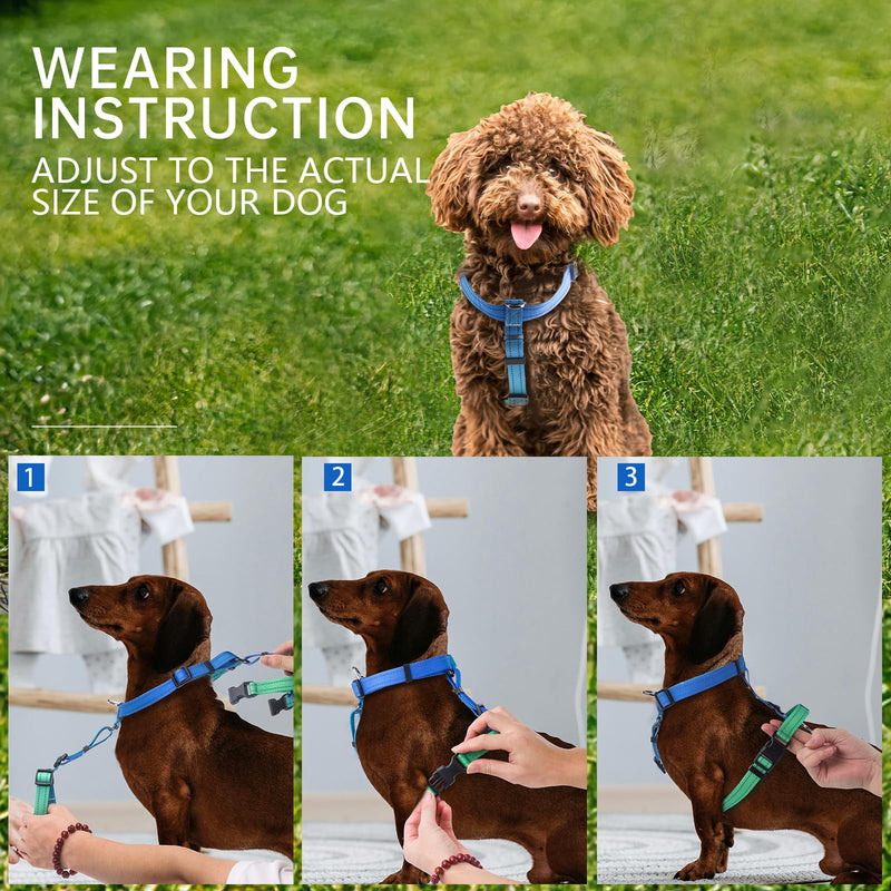 Roses&Poetry Dog Harness for Large Dogs, 6 Point Adjustable Fit No Pull Harness with Handle for Control and Easy Walking, Reflective Pet Halter Harnesses（Bluegreen-L） L BlueGreen（Harness Only Without Leash） - PawsPlanet Australia